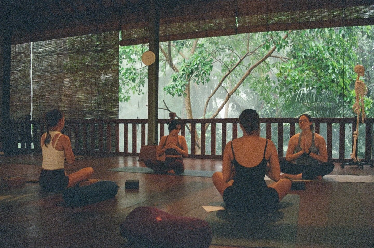 yoga teacher 200 hour training
